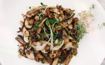 Close up of a freshly cooked mushroom dish on a plate ready to serve