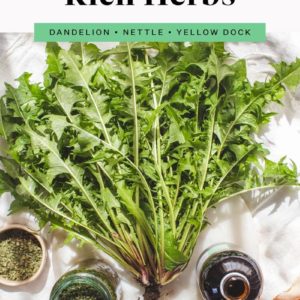Top 3 Iron Rich Herbs