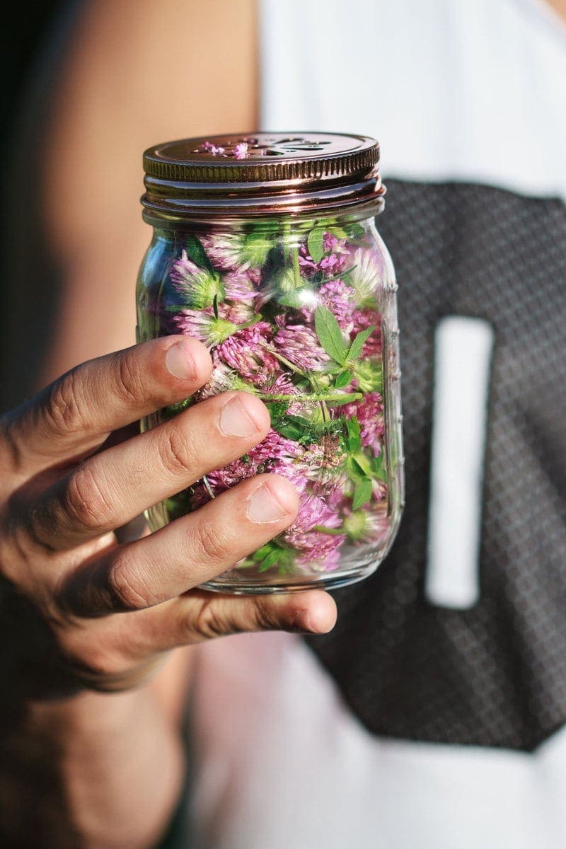 Red-Clover-Infusion-Psoriasis