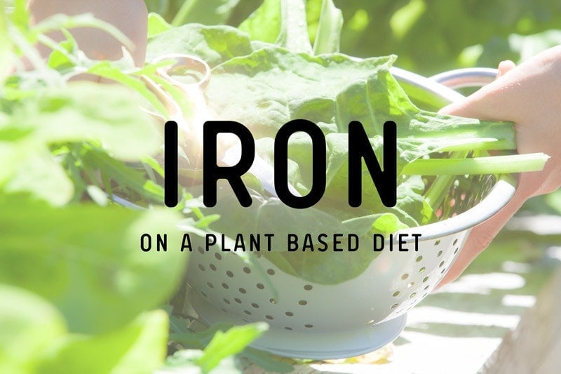 Iron on a Plant Based Diet