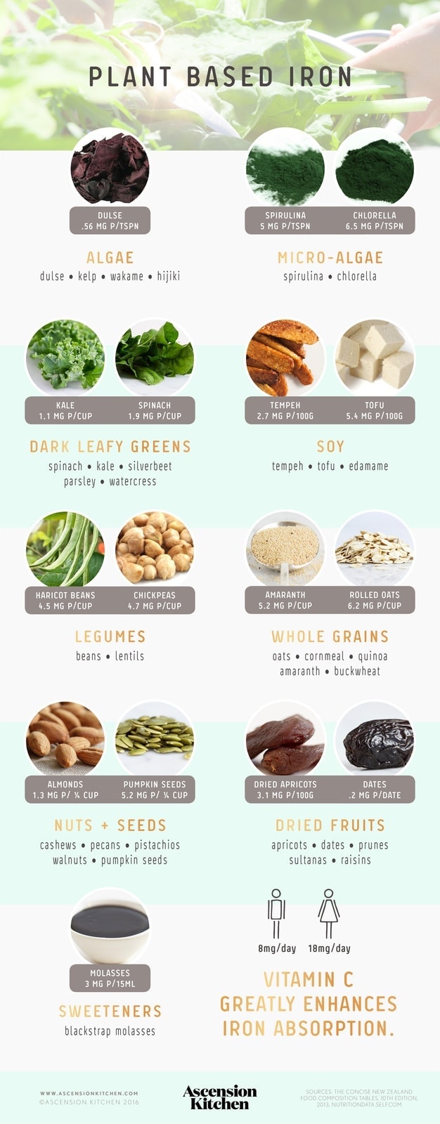 Vegan sources of iron