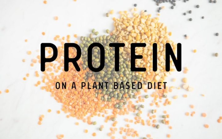Protein on a Plant Based Diet