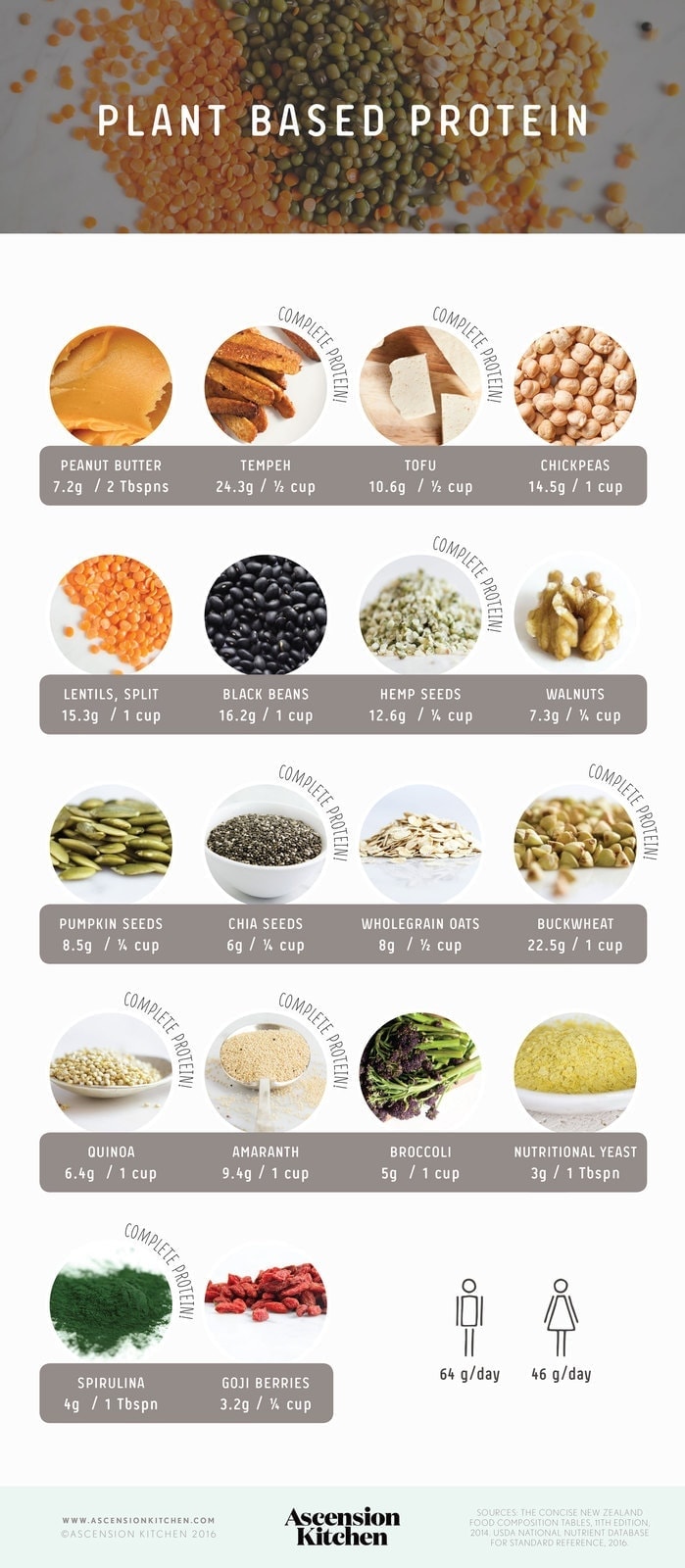 Plant Based Sources of Protein