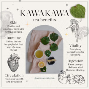 An infographic showing all the different benefits of drinking kawakawa tea.