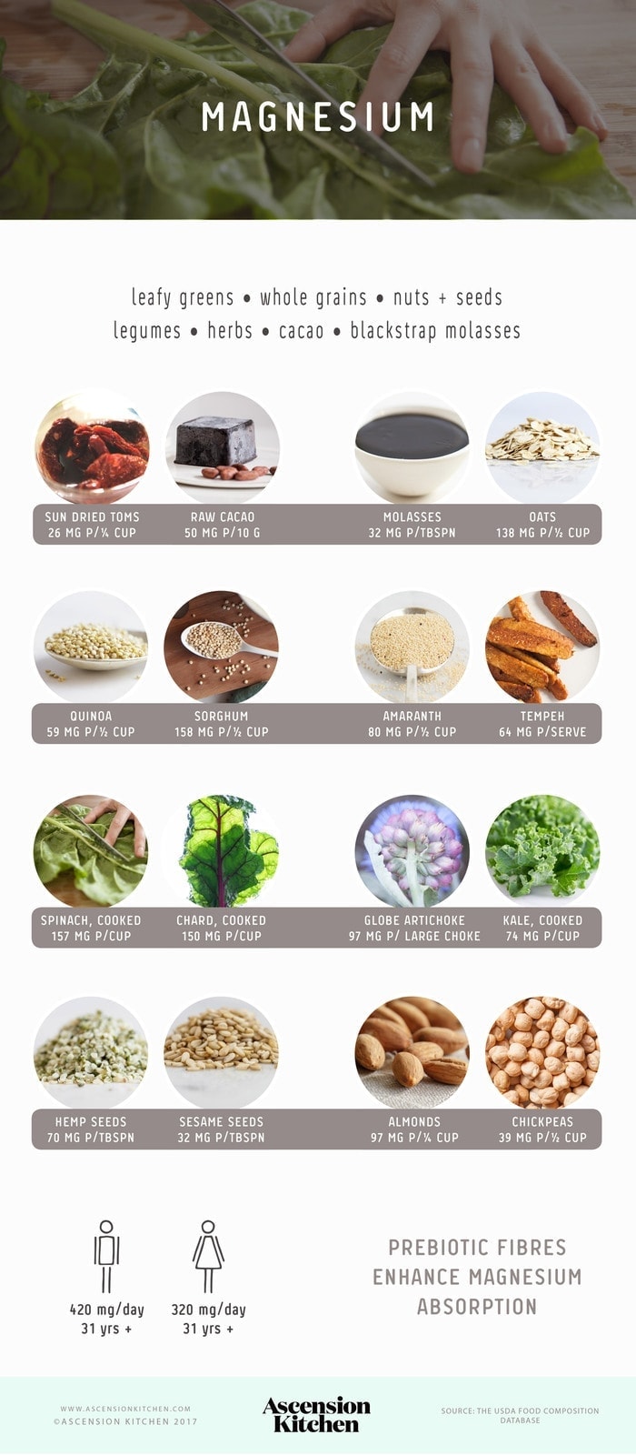 Top Sources of Magnesium Infographic