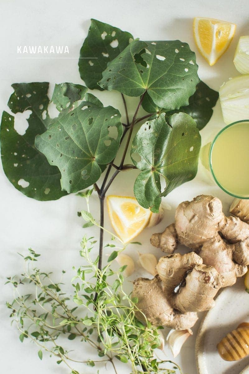 Close up of kawakawa, a New Zealand native herb used in my homemade immune and digestive tonic