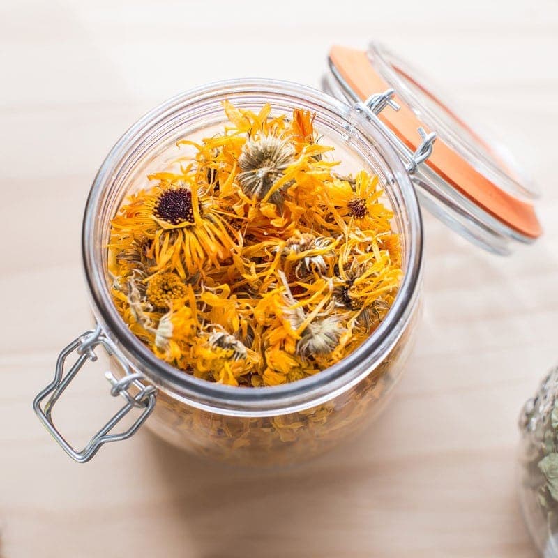 A glass jar filled to the brim with dried calendula flowers