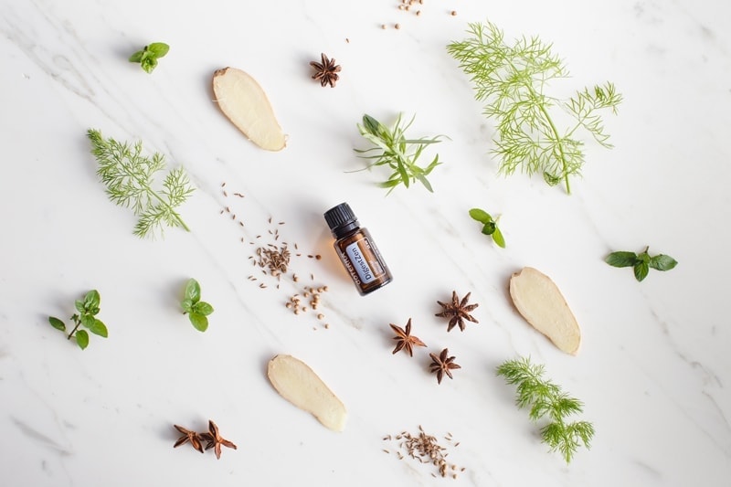 doTERRA DigestZen blend surrounded by fresh aromatic herbs and spices on a marble surface