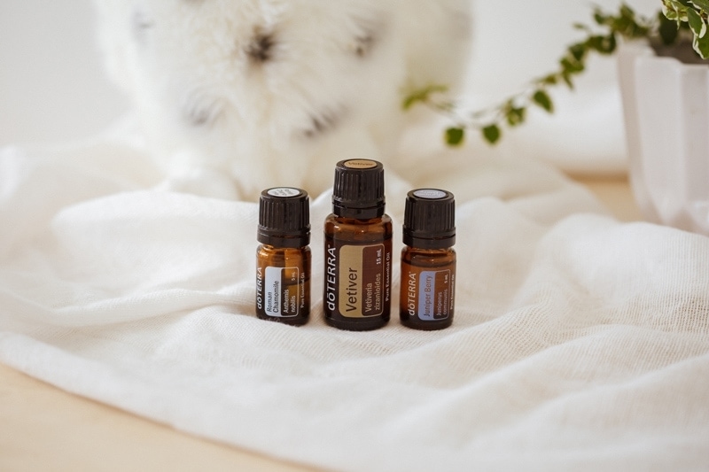 Vetiver essential oils for kid's sleep, next to a stuffed toy