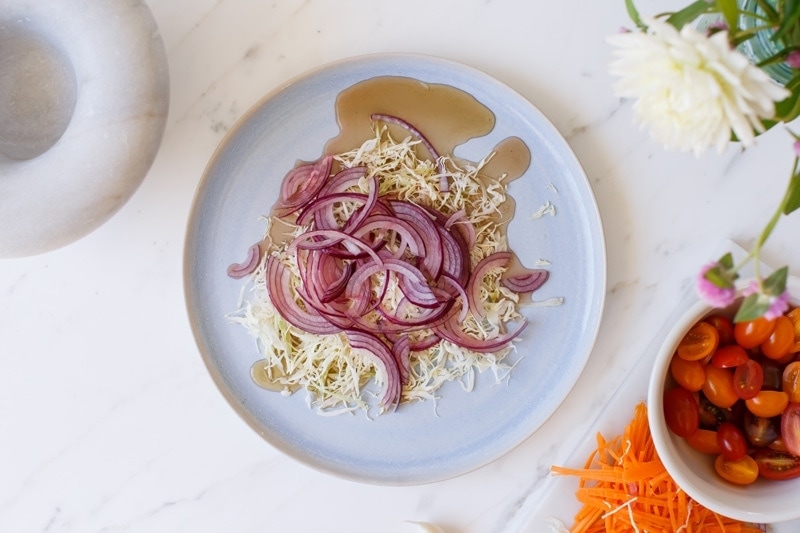 Sliced red onion and cabbage on a plate dressed with vinegar to make pickles