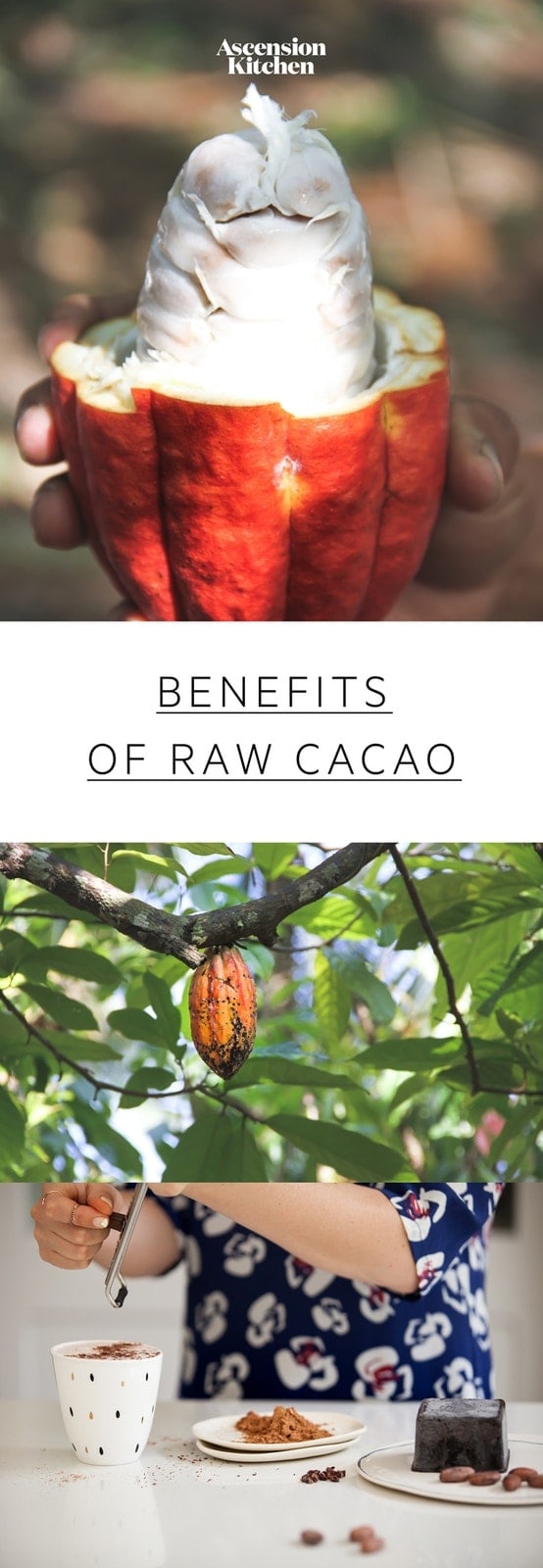 Nutrition & Health Benefits of Cacao: learn how raw cacao differs from cocoa & why cacao is so beneficial. #benefitscacao #cacaobenefits #cacaonutrition #cacaopowderbenefits #rawcacaopowder #cacaopowderrecipes #superfoods #AscensionKitchen 