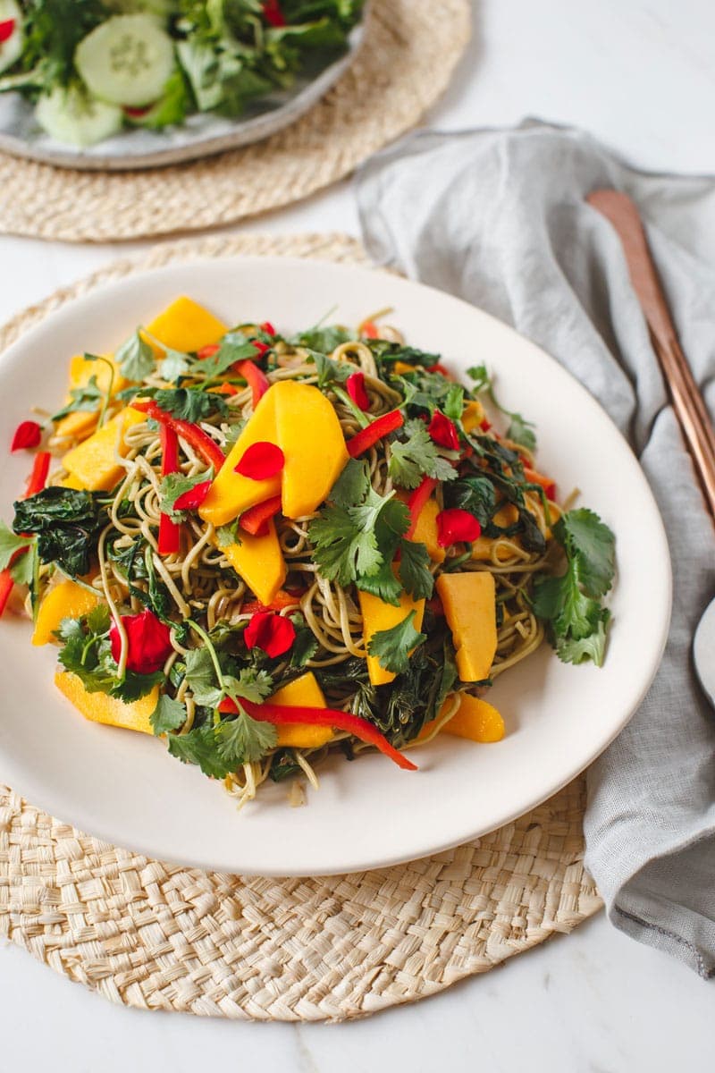 Soba Noodle Salad recipe ready to serve