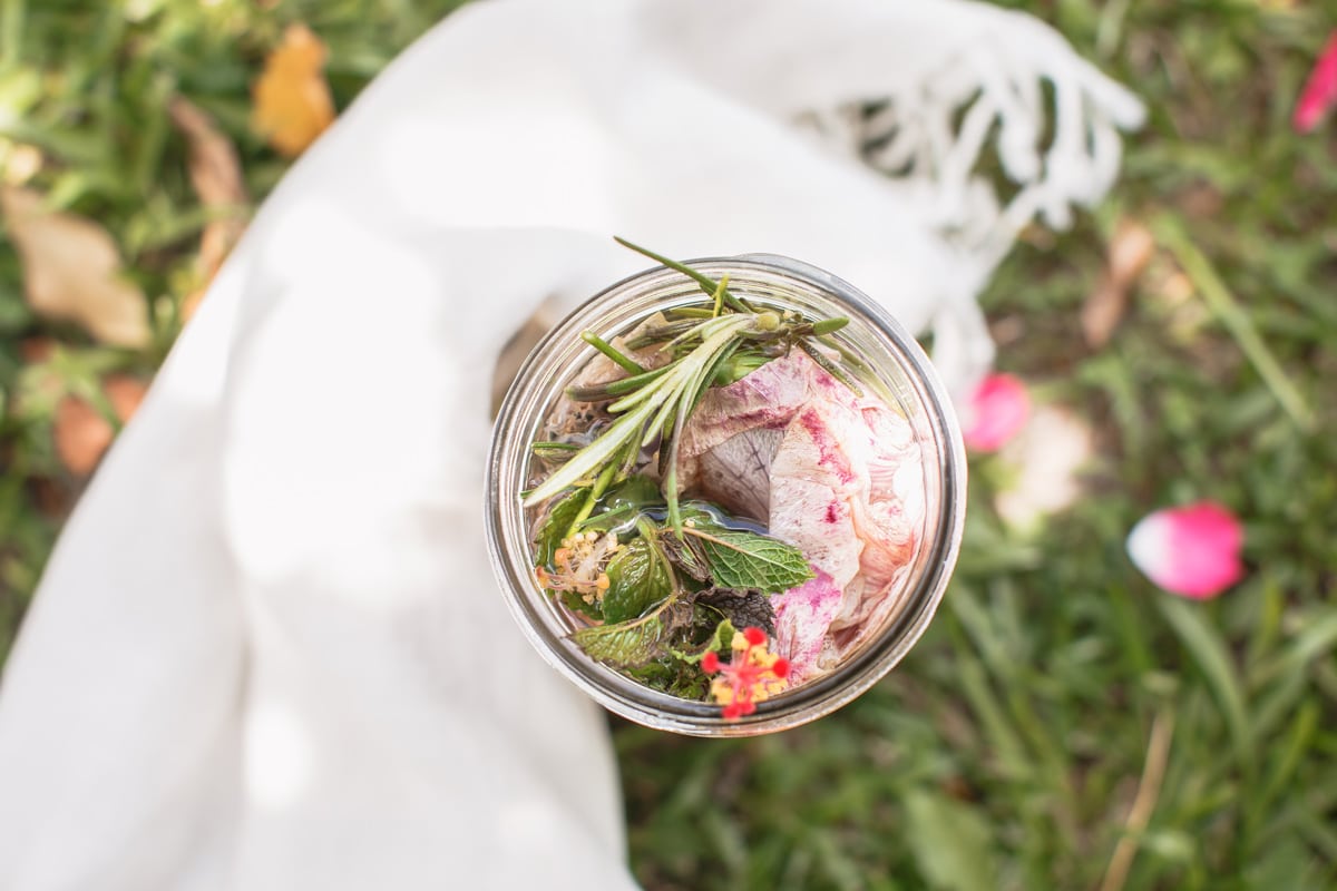 Birds eye view of a large glass jar of water packed with colourful herbs and flowers (mint, rose, rosemary, hibiscus), resting on the grass, ready to infuse under a full moon to make moon water.