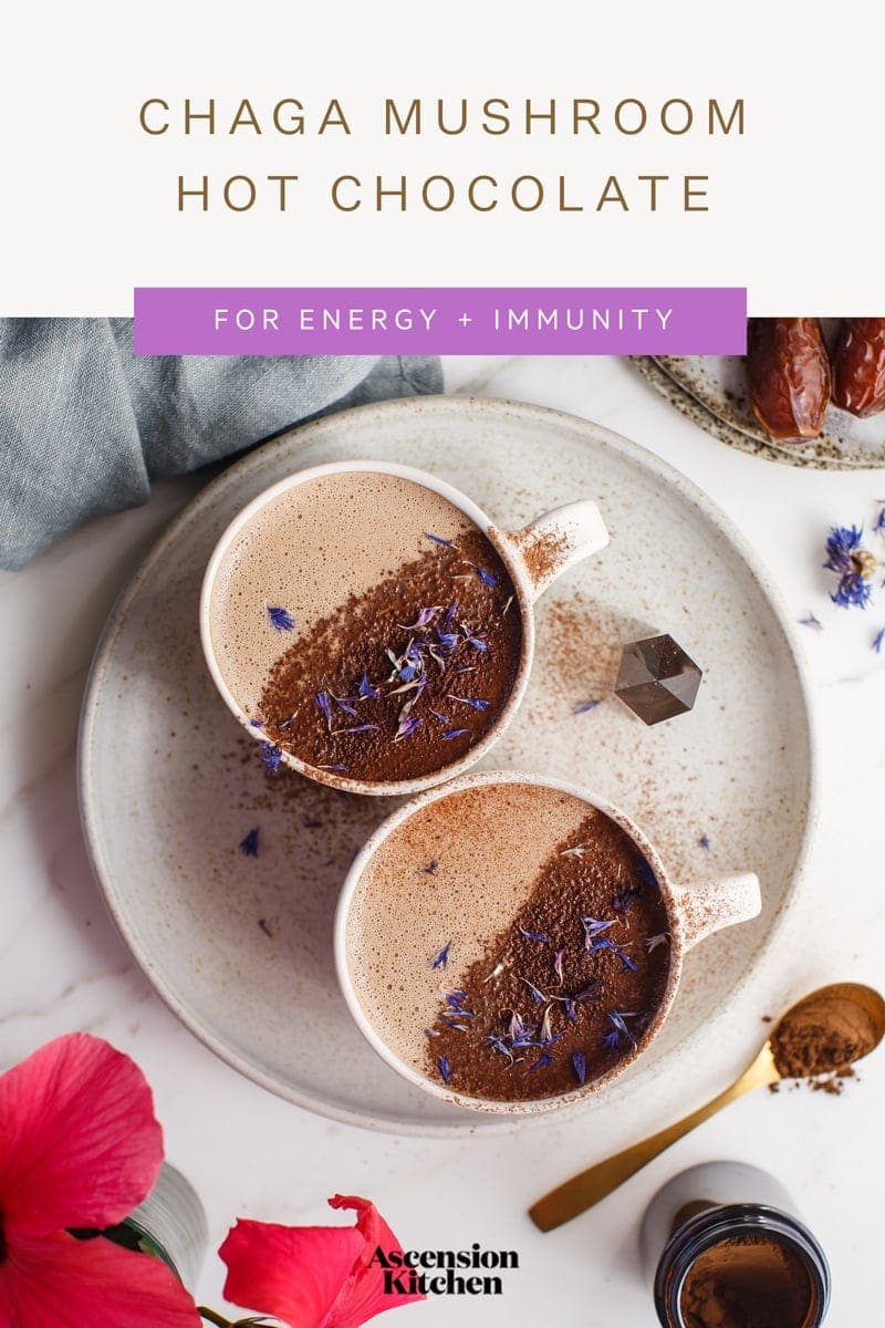 Two mugs of chaga hot chocolate with a dusting of cacao powder, the recipe title across the top of the image.