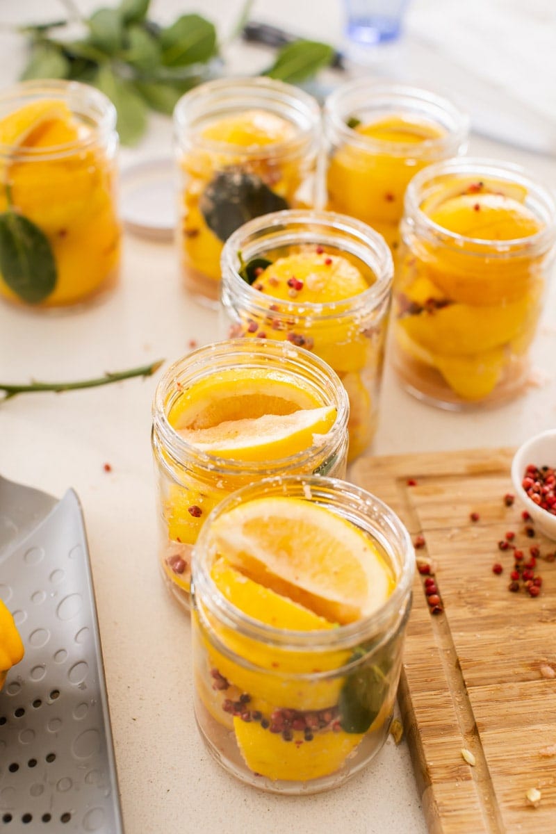 Multiple jars of preserved lemons seasoned with bay leaves and peppercorns, ready to be capped