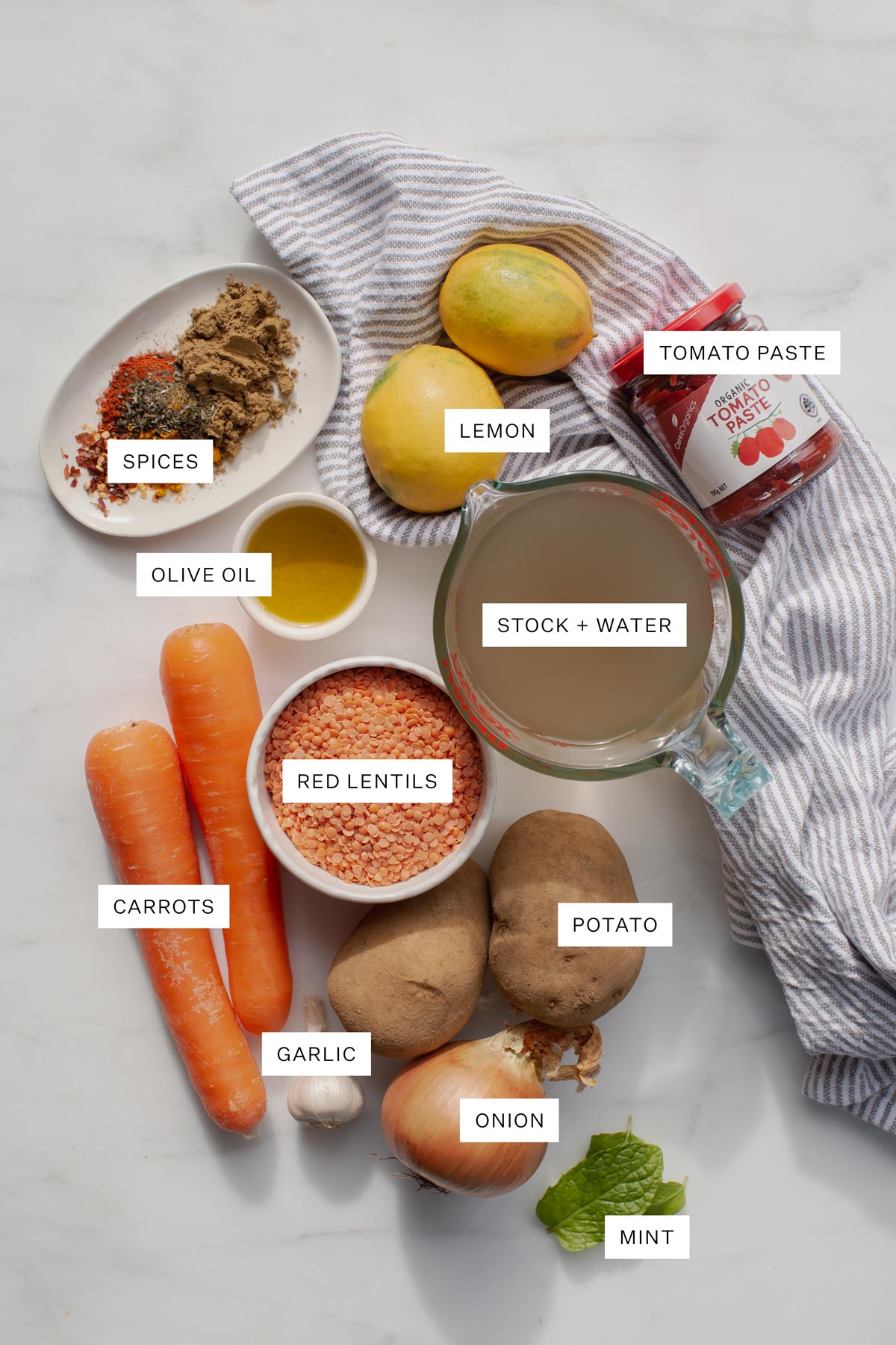 Flat lay of all the ingredients needed to make this recipe.