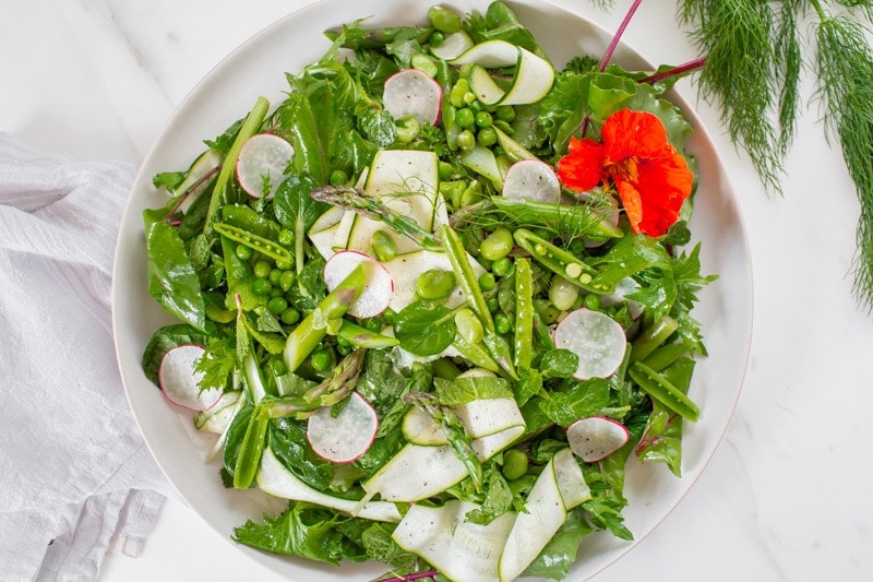 A fresh salad with asparagus, broad beans, peas and radish on a large plate