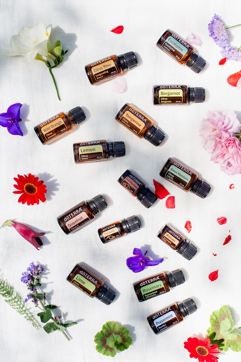 Detail of bottles of essential oils for energy surrounded by flowers in dappled light