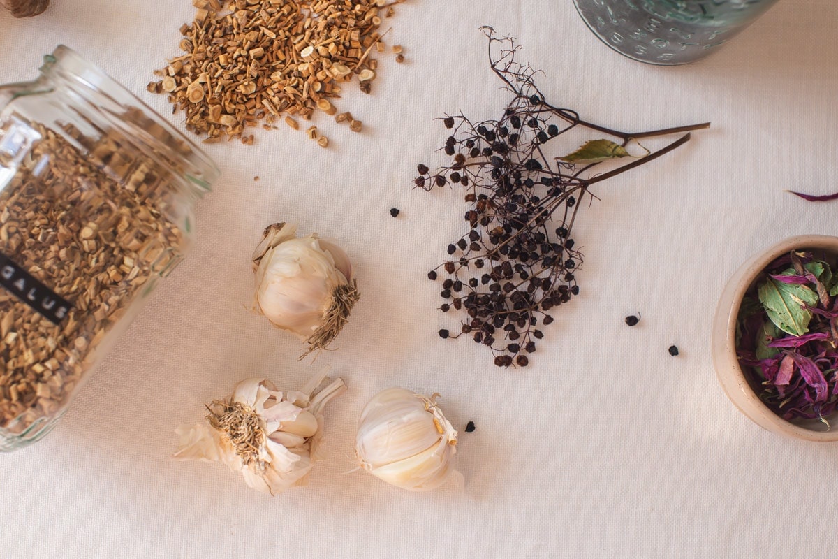 Bulbs of garlic in amongst other medicinal immune-boosting herbs