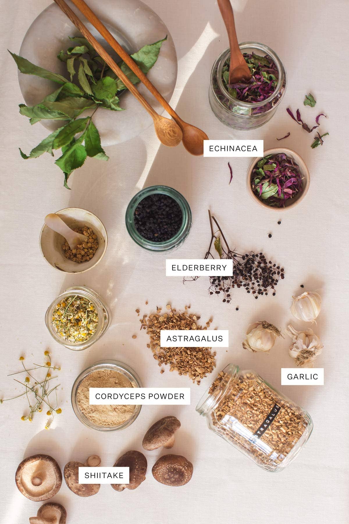 Flat lay of medicinal herbs loose and in glass jars, with their botanical name written over the top