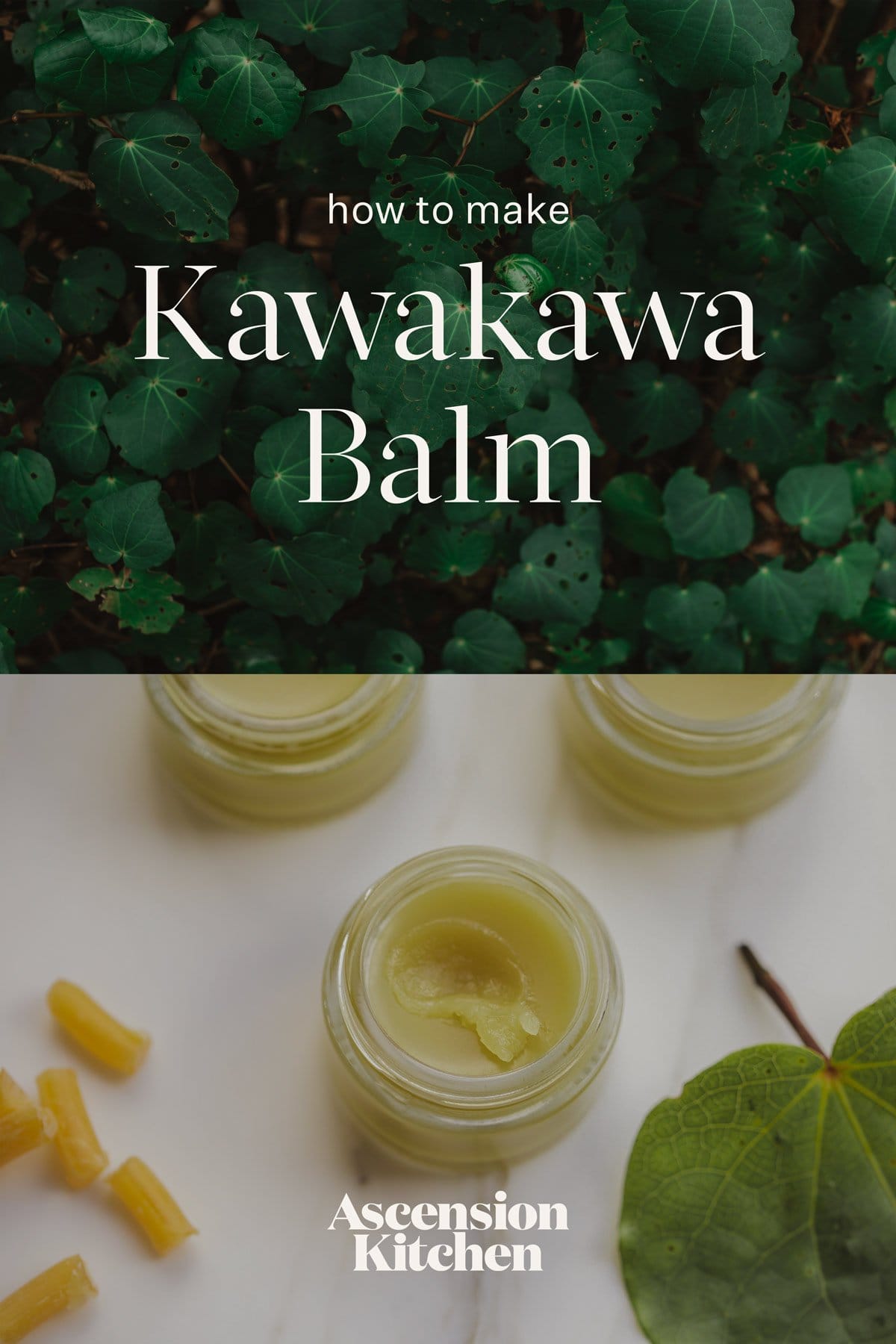 A photo collage of a lush kawakawa bush at the top, and a few uncapped pots of kawakawa balm at the bottom. Text over the image reads "How to make kawakawa balm", with the blog logo at the bottom.