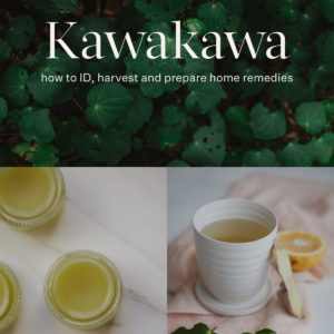 A photo collage combining an image of a healthy kawakawa plant, with freshly made balm, and a hot cup of kawakawa tea. Text over the top reads "Kawakawa: how to ID, harvest and prepare home remedies".