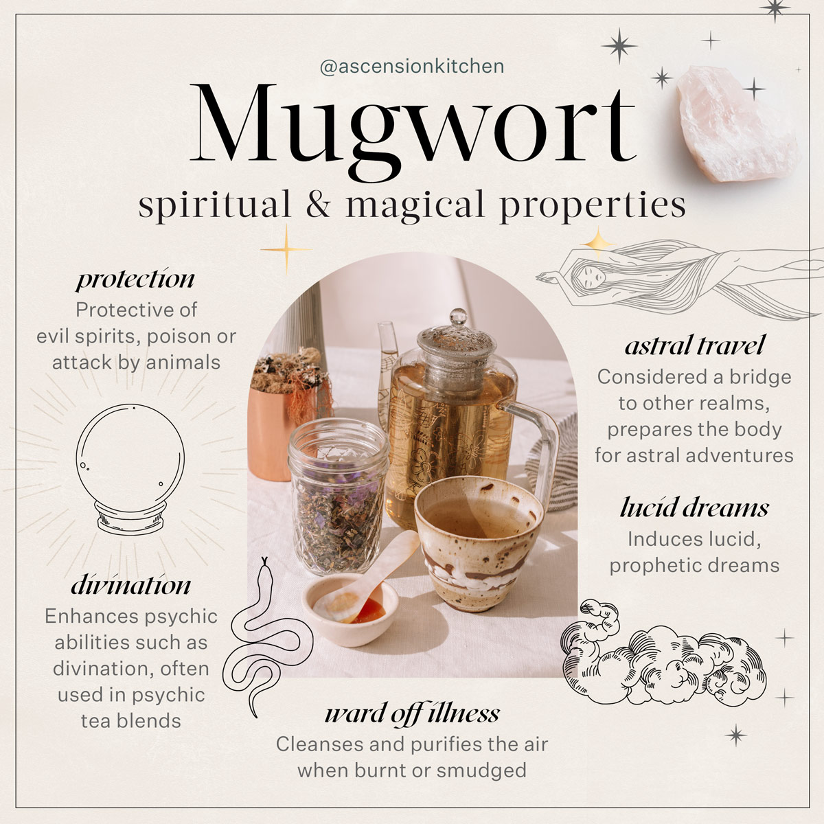 Infographic illustrating the various spiritual and magical properties of the dreaming herb, mugwort.
