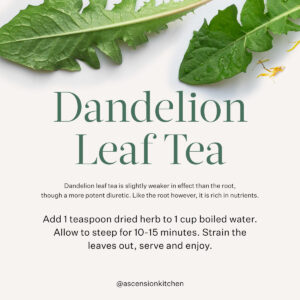 A graphic detailing how to make dandelion leaf tea. A few beautifully styled dandelion leaves are in the background.